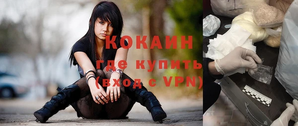 дмт Гусев