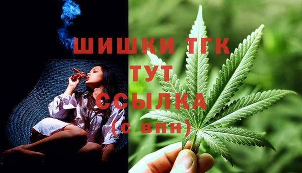 бошки Гусиноозёрск
