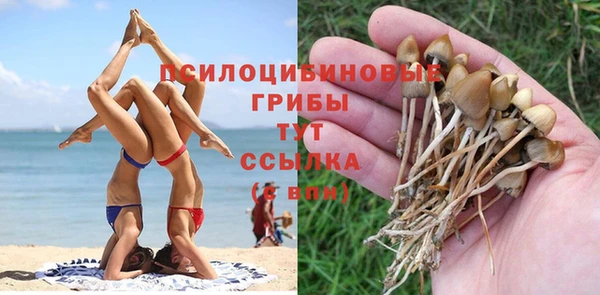 бошки Гусиноозёрск