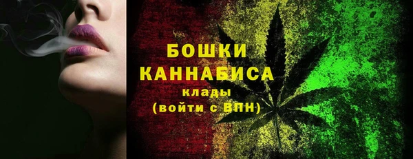 дмт Гусев