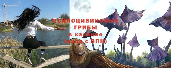 бошки Гусиноозёрск