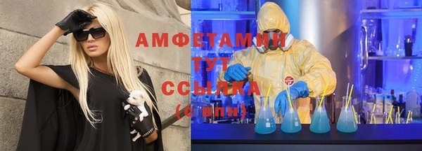 дмт Гусев