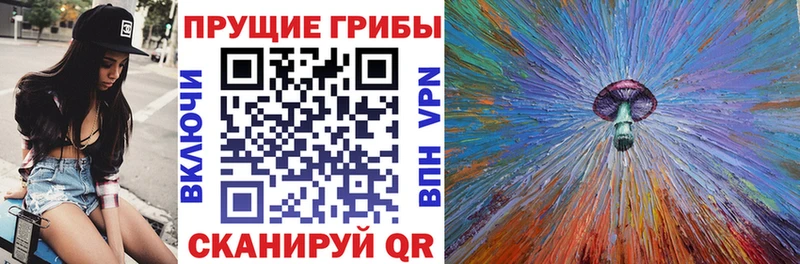 Псилоцибиновые грибы прущие грибы  Плёс 